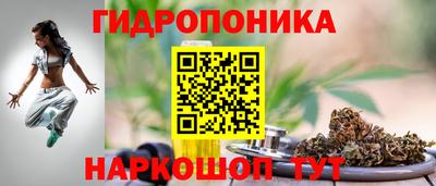 стаф Новодвинск