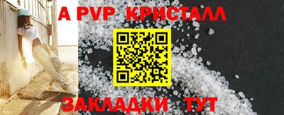 стаф Новодвинск