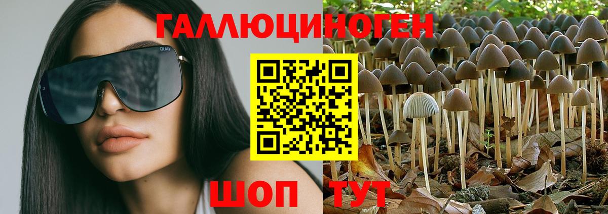 Псилоцибиновые грибы ЛСД  Псилоцибиновые грибы ЛСД  где можно купить   Вход с VPN  Тайшет 